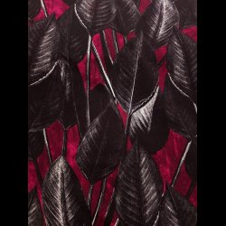 Store blade bordeux french terry