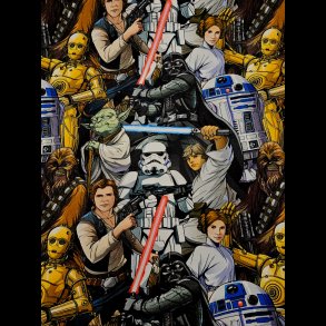 Starwars bomulds jersey