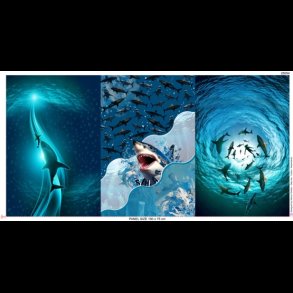 Great white panel bomulds jersey