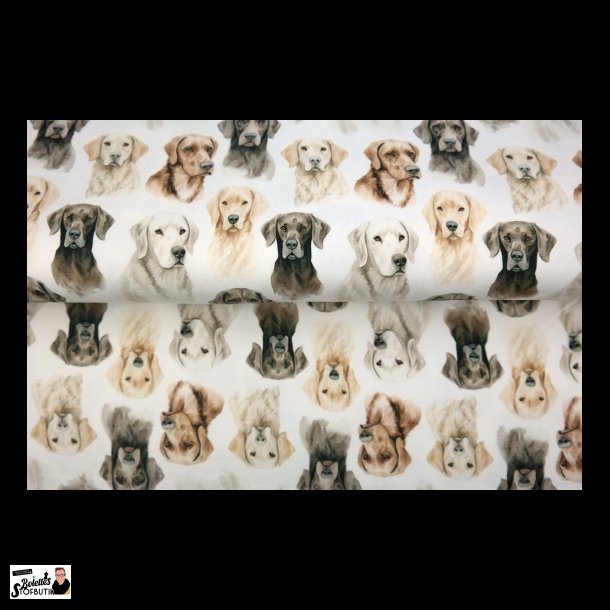 Hunde 