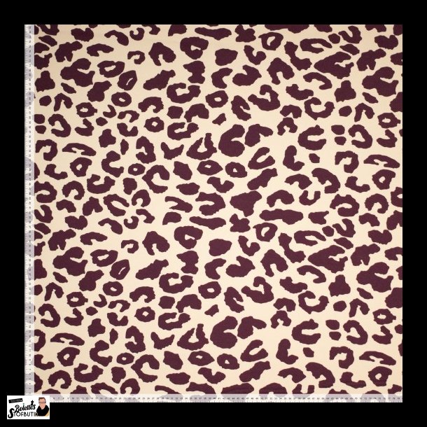 Leopard heavy jogging